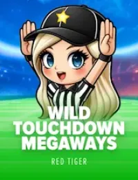 wild touchdown megaways official logo